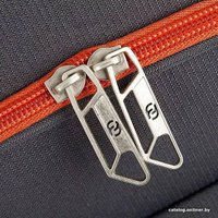 Чемодан-спиннер Francesco Molinary 270-29111/3-24 (серый)