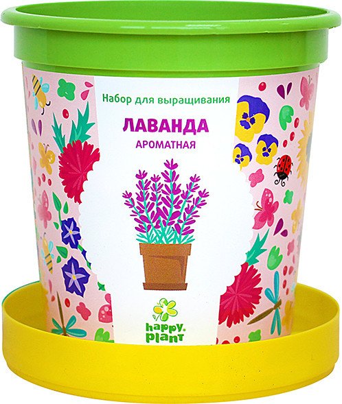 

Набор для опытов Happy plant Лаванда ароматная hpn-15