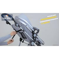 Универсальная коляска Lorelli Lora 2021 (2 в 1, luxe red elephants)