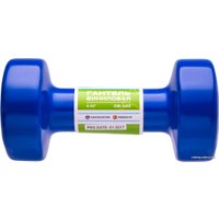 Гантель Starfit DB-101 4 кг (синий)