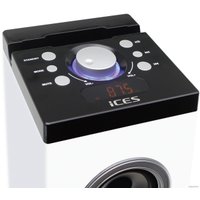 Музыкальный центр iCES IBT-6 Zebra