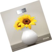 CT-2428 Sunflower