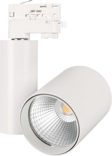 

Трековый светильник Arlight LGD-SHOP-4TR-R100-40W Warm SP2900-Meat 026288
