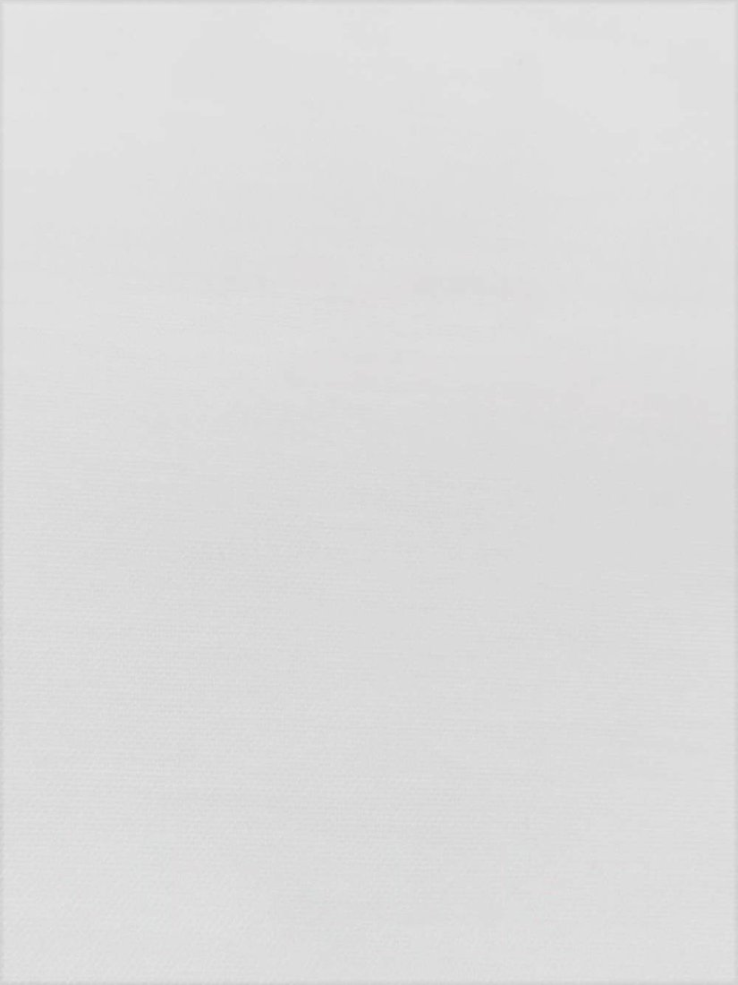 

Римская штора Jalux Селина 100 110x170 (белый)