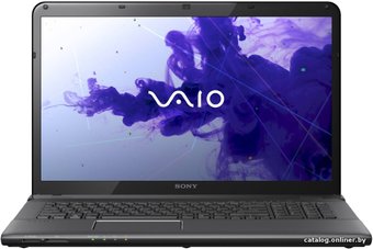 Sony VAIO SVE1713P1RB