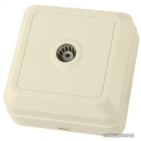 Розетка телевизионная TDM Electric Ладога SQ1801-0026