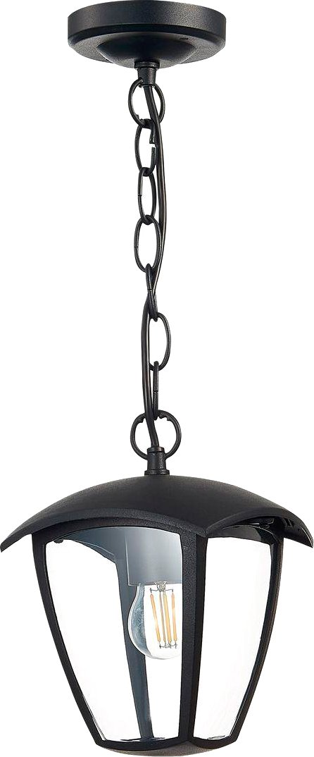 

Уличный подвесной светильник ST Luce Sivino SL081.403.01