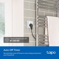 Умная розетка TP-Link Tapo P110M