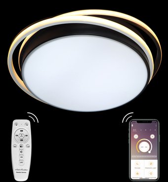 Припотолочная люстра Natali Kovaltseva Led Light 81038/5C