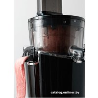 Соковыжималка Hurom H100S (бежевый)