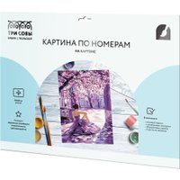 Картина по номерам Три совы Весна в балетной студии KK3040_00014