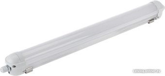 Линейный светильник Rexant ССП2 IP65 18Вт 185-265В 6500K холодный свет 0,6м 607-009