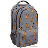 Городской рюкзак Erich Krause ActiveLine Ergoback 22L Capybara 60319