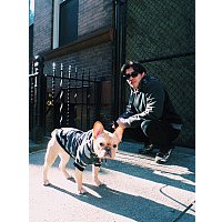 Толстовка Dogtrine Patch DTAA-PH1001-GC-XL (XL, серый камуфляж)