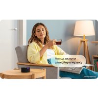 Умная колонка Яндекс Станция Мини (черный)