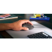 Мышь Logitech Signature M650 L (графит) в Бресте