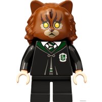 Конструктор LEGO Harry Potter 76386 Хогвартс: ошибка с оборотным зельем