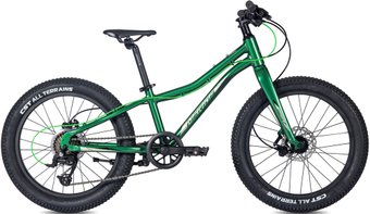 Детский велосипед Merida Matts J20+ Pro 2022 (зеленый)