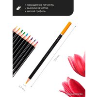 Набор цветных карандашей Pictoria Botanica CPS24B (24 шт)