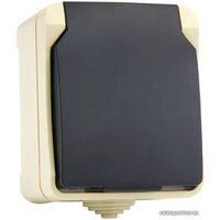 Розетка SmartBuy Сатурн SBE-04w-16-S1-Z