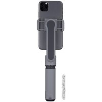 Стабилизатор Zhiyun Smooth X Essential Combo (серый)