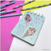 Блокнот Bruno Visconti Smart journal 3-559/02 (108 л)