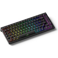 Клавиатура Akko TAC75 HE Black & White (Akko Glare Magnetic, нет кириллицы)