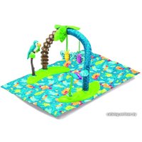 Развивающая игра Evenflo ExerSaucer Life in the Amazon 62311422