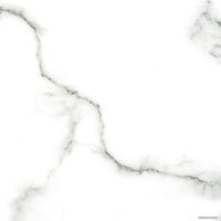 Керамогранит (плитка грес) Netto Carrara Polished 600x600