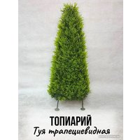 Искусственное растение Merry Bear Home Decor Туя трапецевидная KA0037