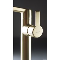 Смеситель Deante Arnika BQA R20K (золото)