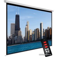 Проекционный экран Avtek Video Electric 300P 300x227 (1EVE54)