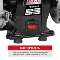 Заточный станок P.I.T. PBG125-C3