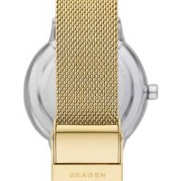 Наручные часы Skagen SKW3101