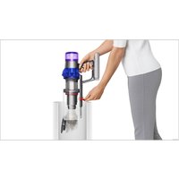 Пылесос Dyson V15 Detect Fluffy 476575-01