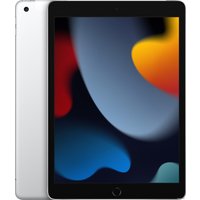 Планшет Apple iPad 10.2" 2021 256GB 5G MK4H3 (серебристый)