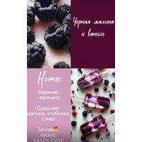 Ароматический воск Gentle Art Саше Снежинка с ароматом Черная малина и ваниль