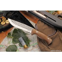 Нож Кизляр Фазан (50231)