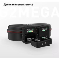 Радиосистема Synco G2(A2) Mega в Бобруйске