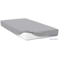 Простыня Tex Republic DK QR 120x200x20 GY