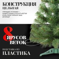 Пихта Erbis Jodla 90