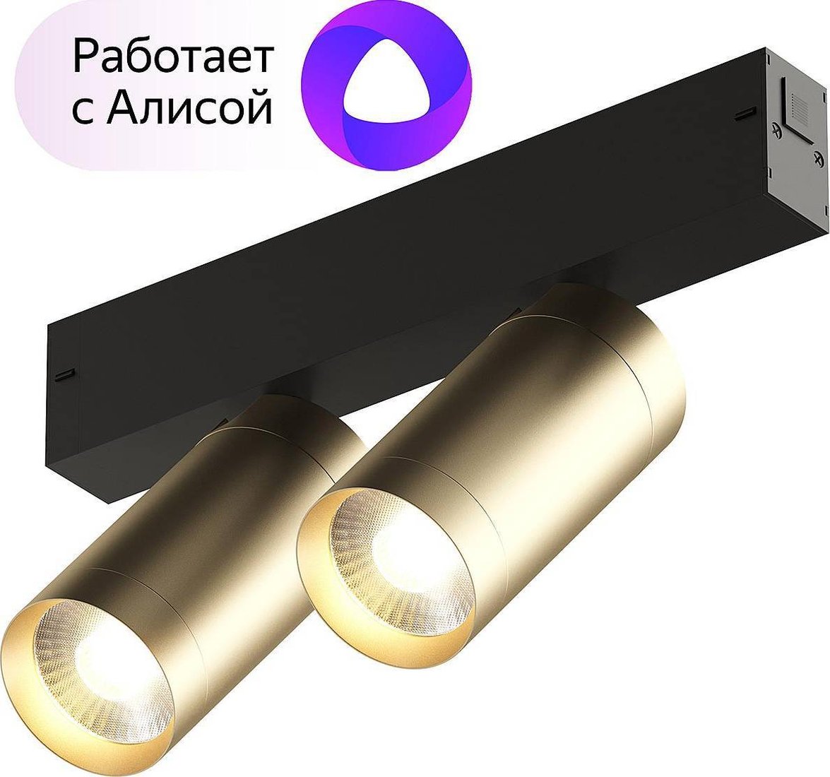 

Трековый светильник Denkirs Smart DK8012-BG