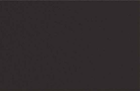 

Бумага для сухих техник Невская палитра Мастер-Класс 50х65 см 275452460 (10 л, черный)