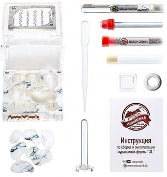 Формикарий AntsMinsk Стартовый комплект XL Marble