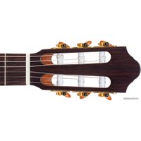 Акустическая гитара Kremona Sofia SC