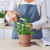 Кухонные ножницы Ikea Svardfisk 60563431 в Бобруйске