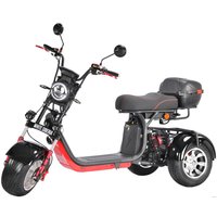 Электроскутер White Siberia CityCoco WS-Pro Trike 3000W 21Ah (с черными брызговиками)