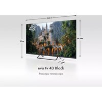 Телевизор Evo TV 43 Black TD0051752RU
