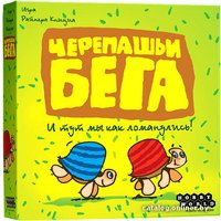 Настольная игра Мир Хобби Черепашьи бега