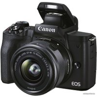 Беззеркальный фотоаппарат Canon EOS M50 Mark II Kit EF-M 15-45mm f/3.5-6.3 IS STM (черный)